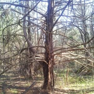 Meet your Posher, Ebonie